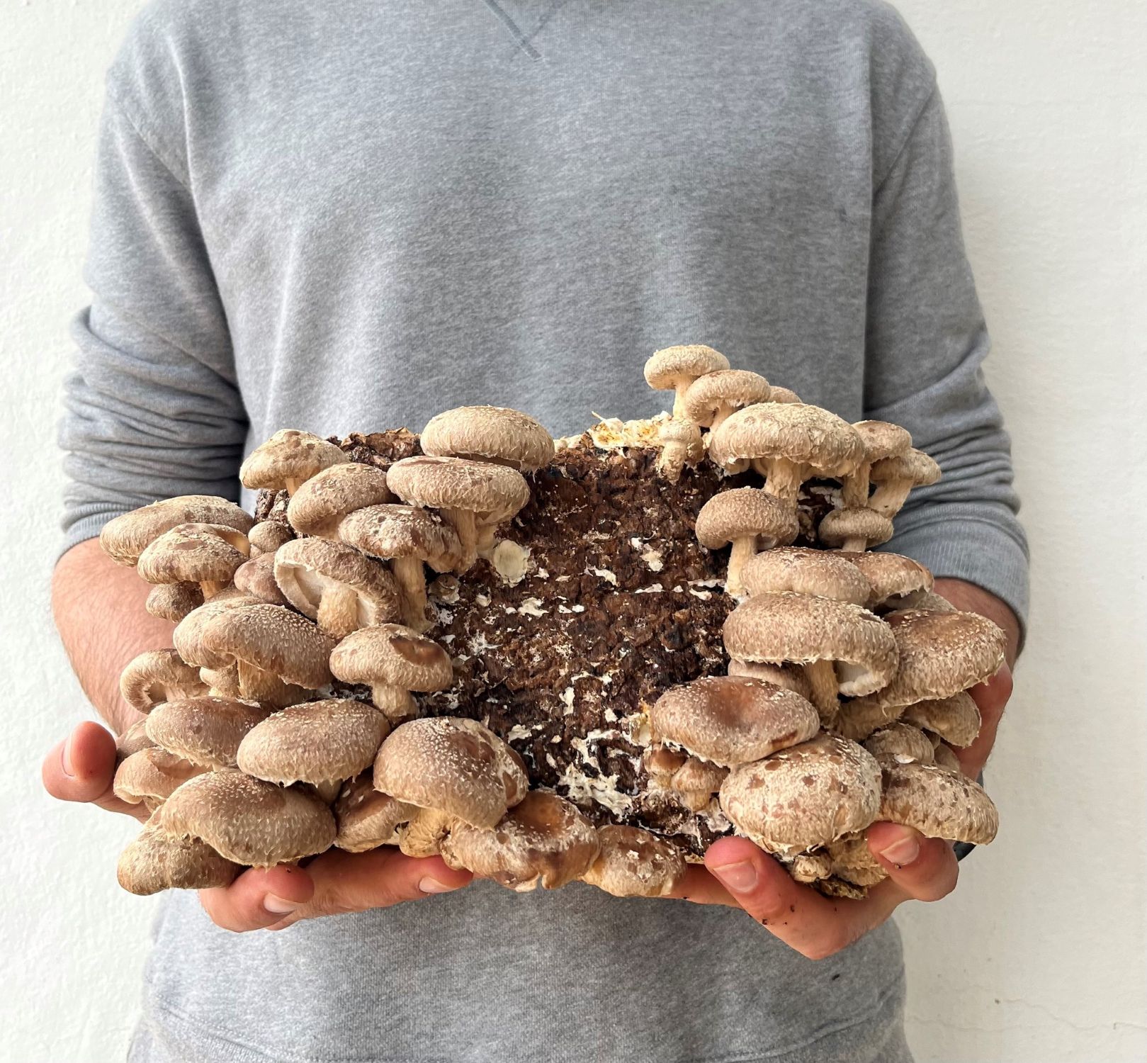 Experiencia gastronómica en Bolets de Menorca