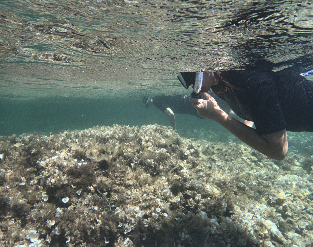 Menorca: Snorkeling privado con guía submarino local