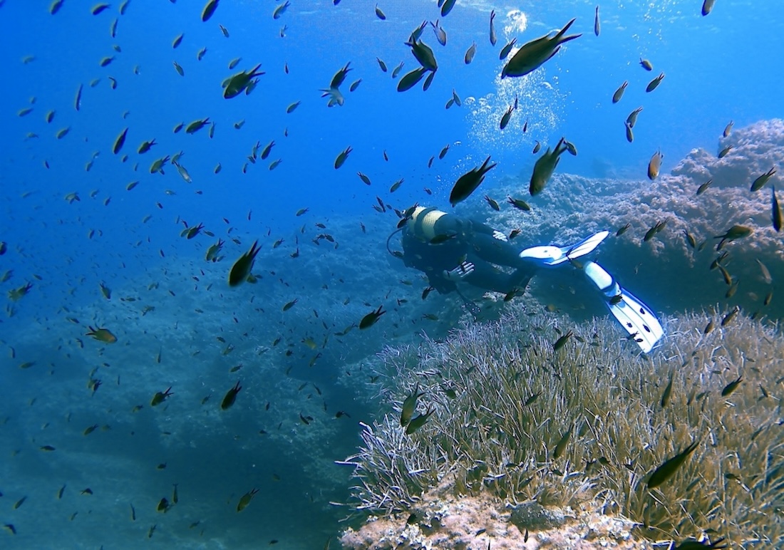 Bautismo de buceo con 2 inmersiones en la costa sur de Menorca