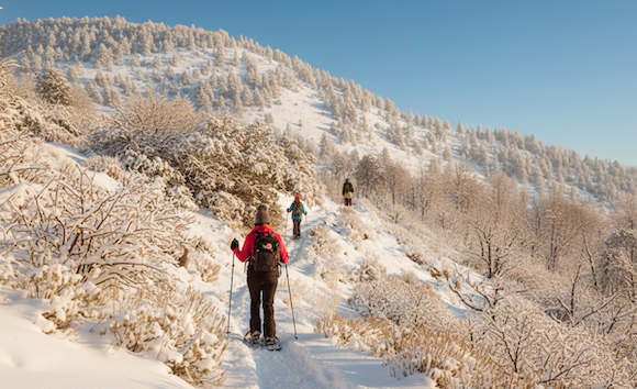 Private snowshoe tour of the Astún valley, from Canfranc — photo 2