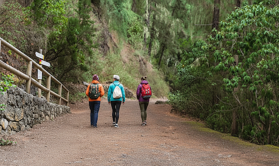 Private tour: hiking the Olla de Estiviellas and the Canfranc woods