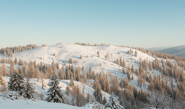 Private snowshoe tour of the Astún valley, from Canfranc — photo 4