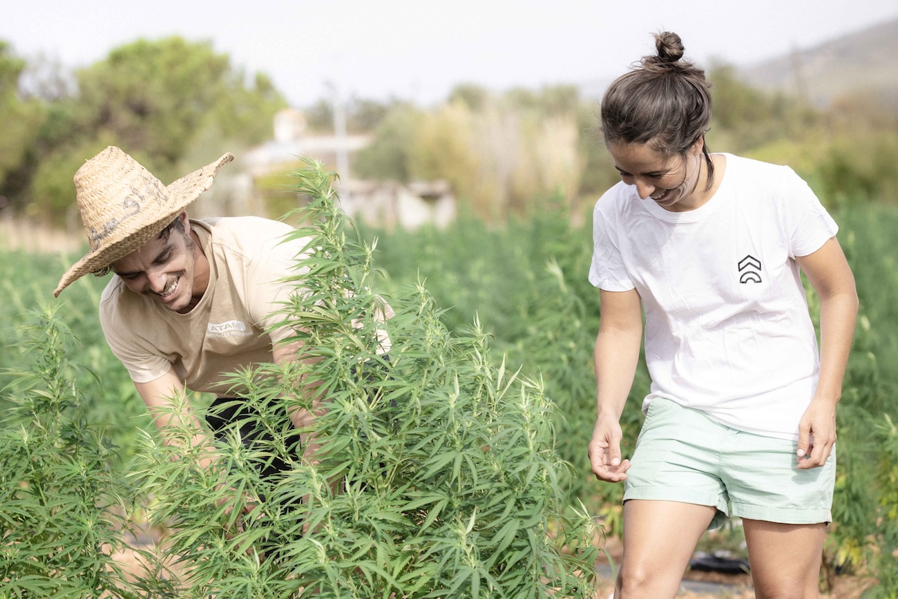 Binissalem: Hemp Farm Tour. Sensory experience & tasting